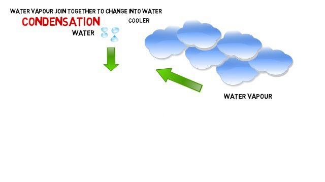 Water Cycle : The 3 phases Explained : Water Cycle Animation for Kids смотреть онлайн