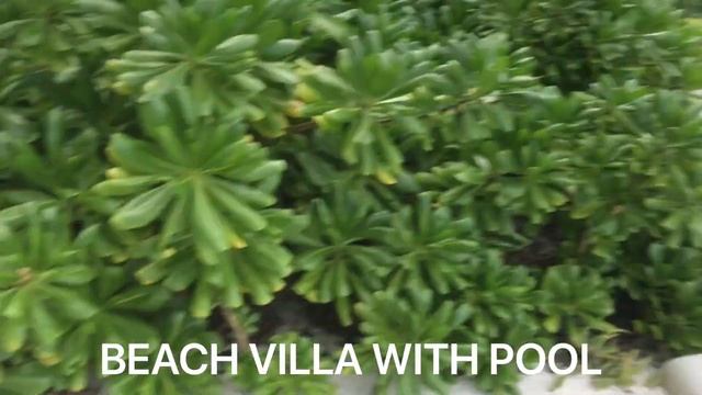 Waldorf Astoria Maldives: осмотр отеля