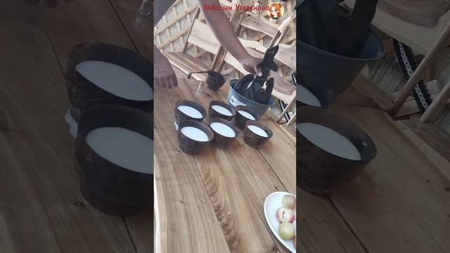 Путешествие по Кыргызстану. Новый ресторан в Бишкеке  Хозяйн ресторана угощает гостей кумысом...