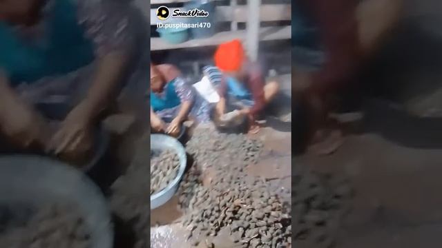 video viral emak² lagi mngkupas siput unam viral смотреть онлайн