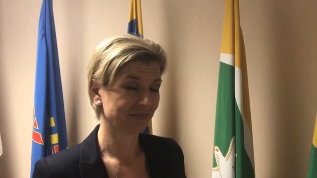 немецкие менеджеры в БАГСУ, 4 визит, 2018 год смотреть онлайн