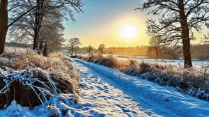 ПУШКИН.Зимняя дорога.