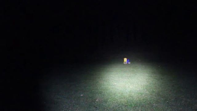 Olight ST25 XML2 Cree LED Tactical Flashlight night test смотреть онлайн