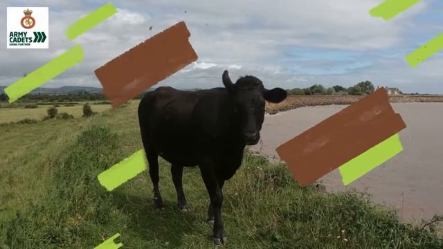 Zulu Company Silver DofE Expedition - The GoPro Edition! смотреть онлайн