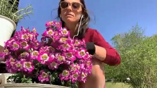Valeria Sansone- SE RESTIAMO A CASA CONTEST 2020 смотреть онлайн
