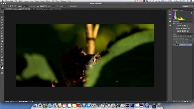Magic Lantern Raw Gamma Shift смотреть онлайн