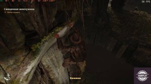 Индиана Джонс  Миссия № 24 Священная жемчужина Храм