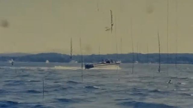 Vontell on Water & June petting Horse смотреть онлайн