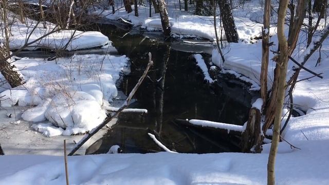 Лесная весенняя сказка смотреть онлайн