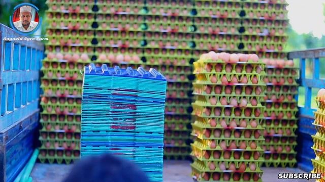দেখুন কীভাবে Bayazid Agro Farm - এর ডিম বিক্রি করা হয় || Bayazid Agro Farm || New Video - 2022 || смотреть онлайн