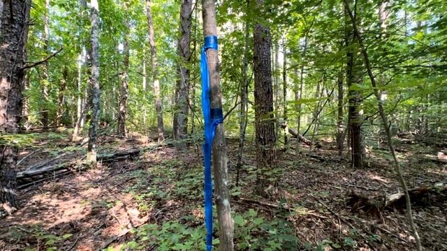 Lots And Land for sale - TBD-2 Peter Mabe Road, Danbury, NC 27016 смотреть онлайн