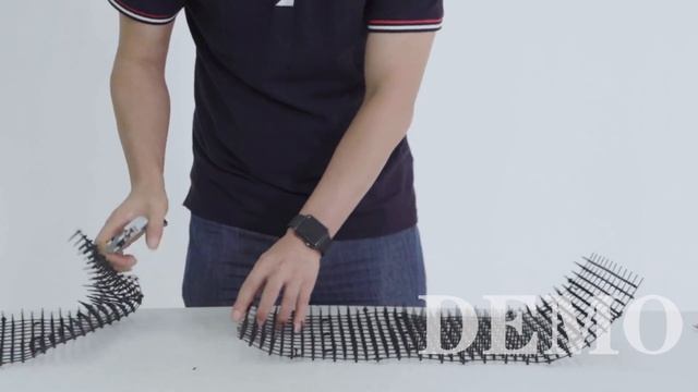 Anti Cat Network Roll смотреть онлайн