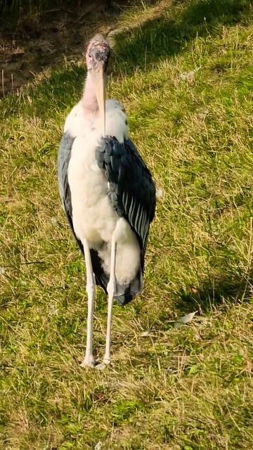 September 11, 2022 смотреть онлайн