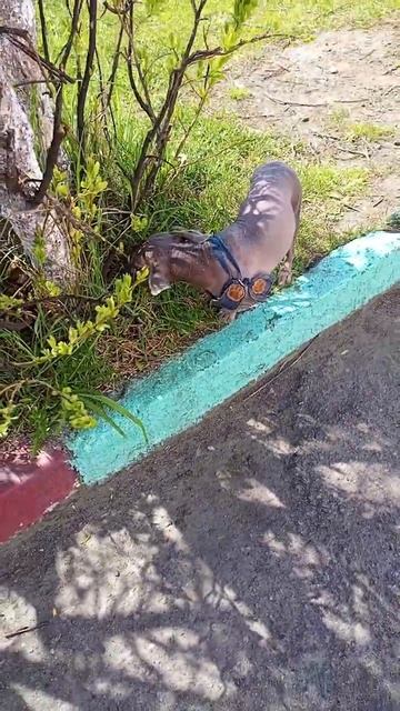 10 июня 2023 г. смотреть онлайн