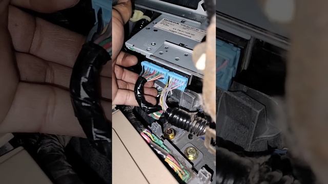 Honda Odyssey has no audio stereo powers on, faulty amplifier Diode. смотреть онлайн