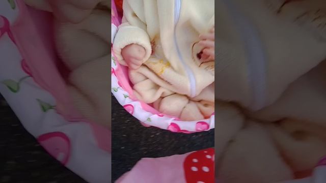 гуляем и мы упали😂 смотреть онлайн