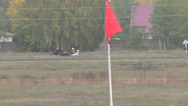 1 Раменский ипподром 01.10.2022 - Лошади рожд. 2019 г. рысистых пород смотреть онлайн