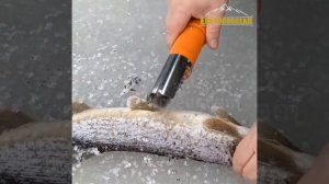 Electric Fish scaler