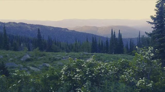 Очарование природой смотреть онлайн