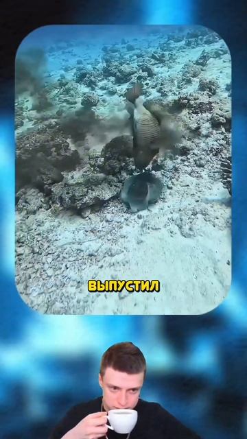 умылся чернилами🦑 смотреть онлайн