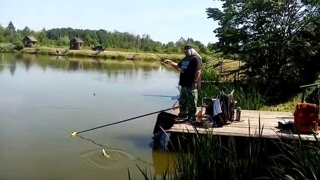 Бойкий! смотреть онлайн