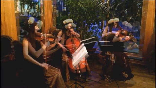Time is running out(MUSE) - струнное трио Violin Group DOLLS смотреть онлайн