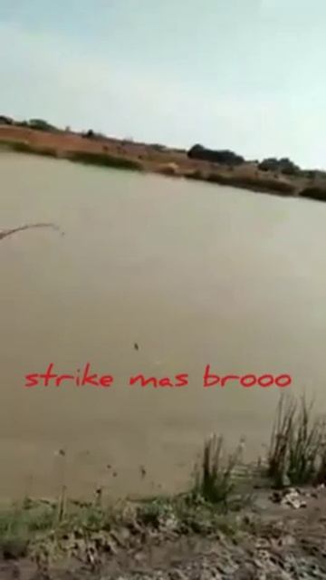 Sensasi Mancing Dirumpon Kali Cilet смотреть онлайн