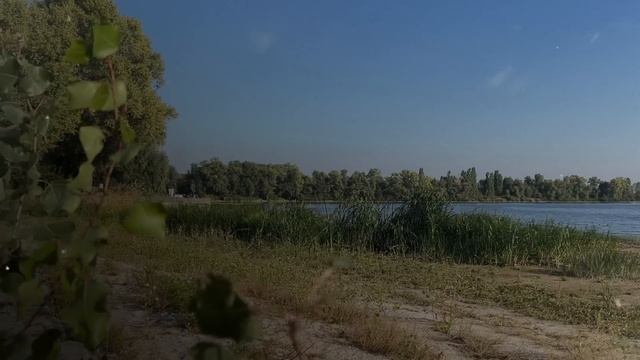 БОГАЧ нанял СИДЕЛКУ для ухода ЗА сыном В ВЕГЕТАТИВНОМ СОСТОЯНИИ... А через 2 дня , КОГДА НИКТО... смотреть онлайн