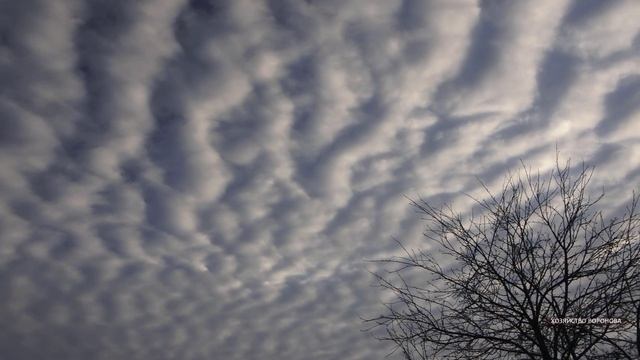 Нас опыляют? Странные облака смотреть онлайн