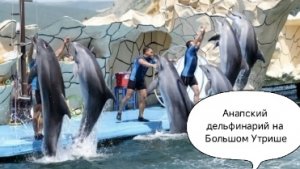 Утришский дельфинарий