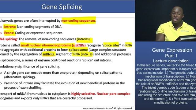BMAT: Transcription and Translation - Part 4 - Gene Splicing смотреть онлайн