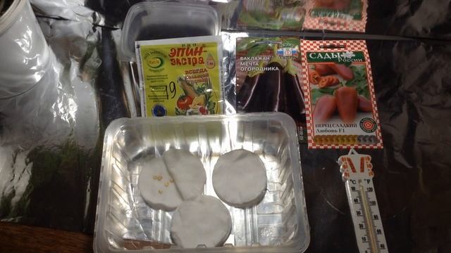 Веселые научные эксперименты с приключениями