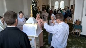 Задостойник Троицы муз.Туренкова