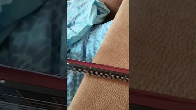 Hohner на Авито смотреть онлайн