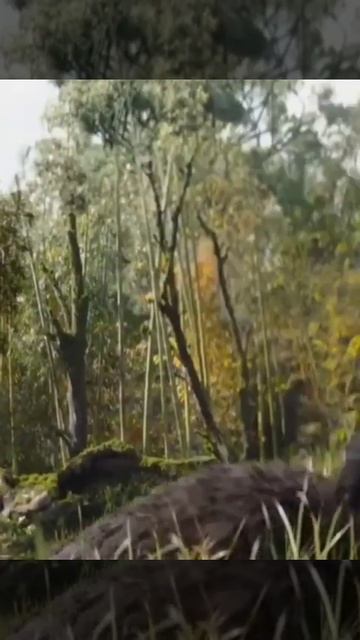 Tu Jo Mila X grogu and luke Skywalker #short смотреть онлайн