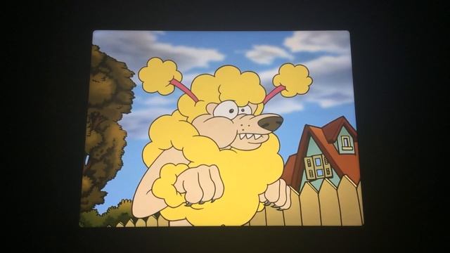 Codename Kids Next Door Operation Hound