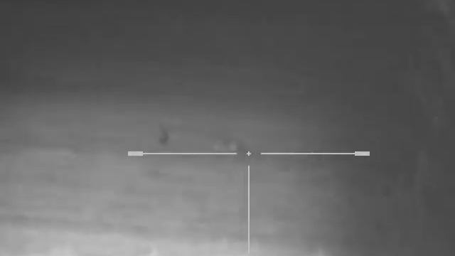 Охота на лису на приваде смотреть онлайн