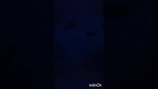 27 апреля 2024 г. смотреть онлайн