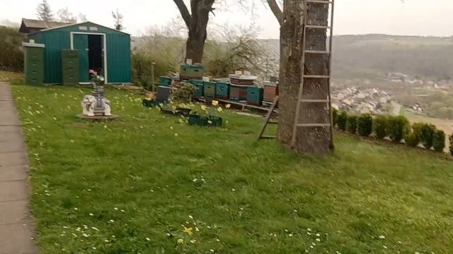 пчёлы, обогрев, отводкам быстро и работает смотреть онлайн