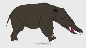 Amebelodon Sounds