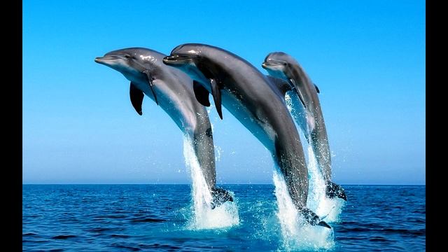 Relaxing calm music (sounds of the ocean) смотреть онлайн