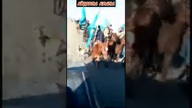 Панфилов ауданы Айдарлы ауылы (Эстафета; челендж) смотреть онлайн