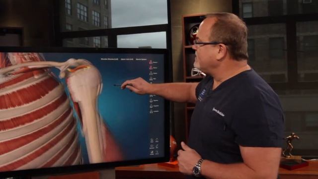 Dr. Mark Adickes: What is the rotator cuff? смотреть онлайн
