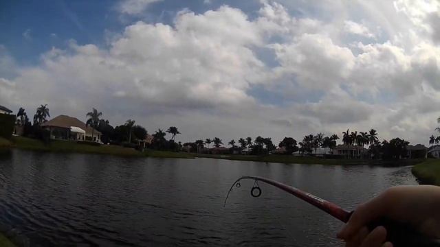 30 cent lure fishing challenge, crazy pond fishing! смотреть онлайн