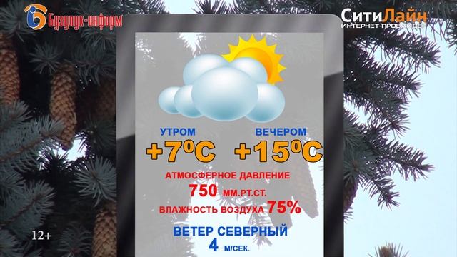 Прогноз 13 04 смотреть онлайн