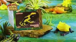 SBABAM KreatureX Giga Geki e Rane 15sec ESP WEB