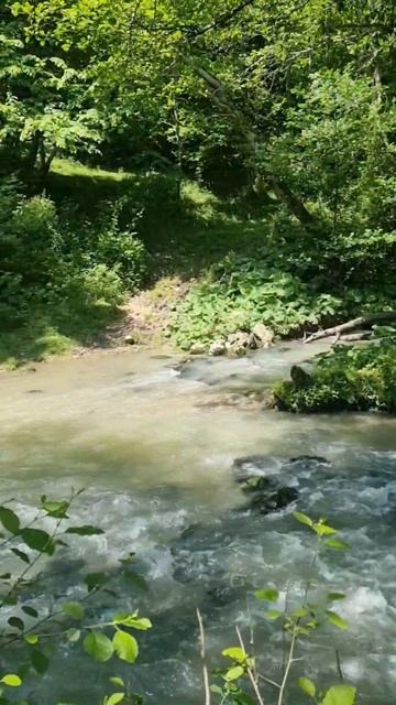 Абхазия. Водопад в Приморском смотреть онлайн