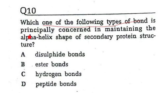TOPIC 1 B - BIOLOGICAL MOLECULES -PART 1 || REDSPOT BIOLOGY смотреть онлайн