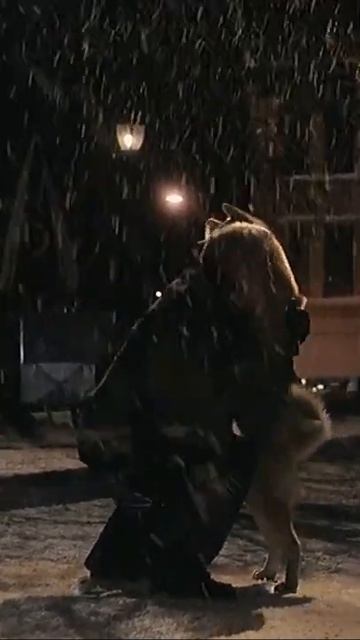 Hachi-A dog tale Status scene #hachiko смотреть онлайн