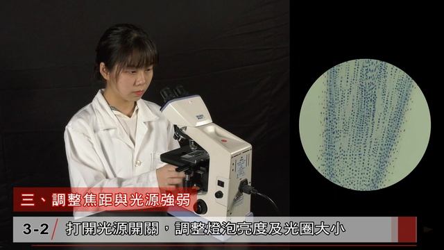 複式顯微鏡介紹——部件與功能簡介 смотреть онлайн